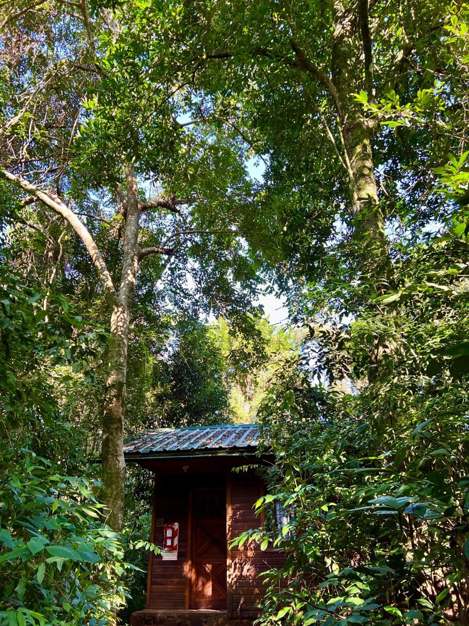 Rainforest Hotel & Cabanas Puerto Iguazú Extérieur photo